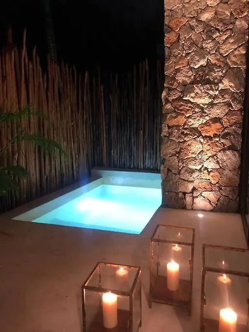 דירות טולום Luxury 2 Bdr 2 Bth 2 Bikes Jacuzzi Fiboptic Wifi. מקסיקו