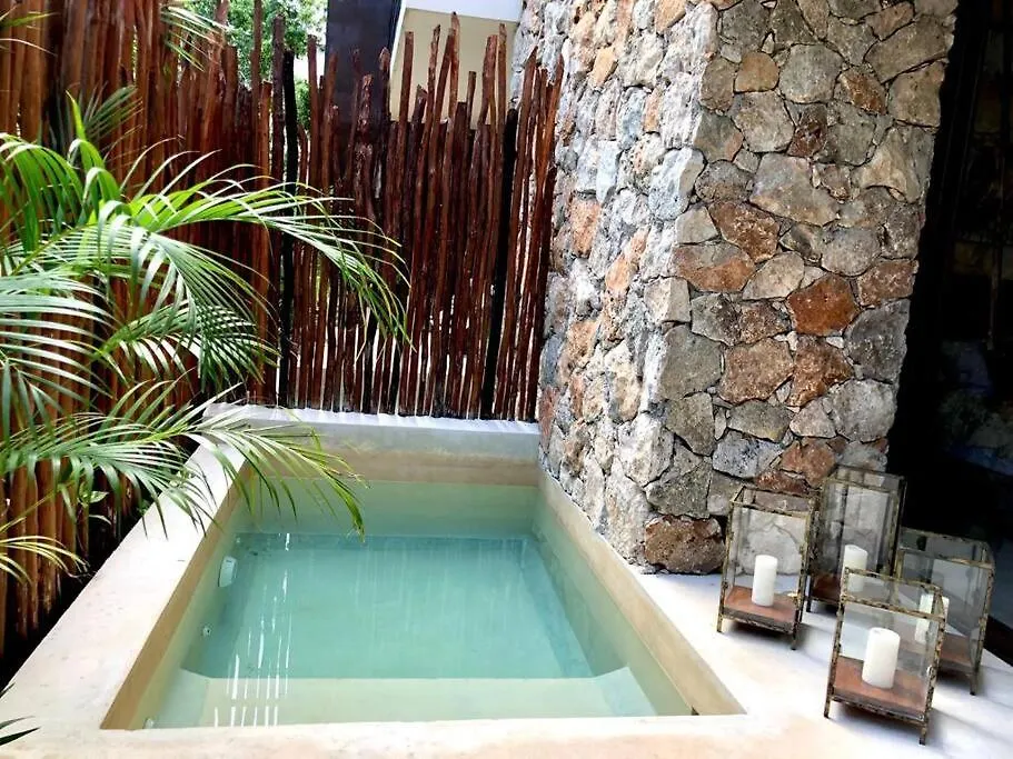דירות טולום Luxury 2 Bdr 2 Bth 2 Bikes Jacuzzi Fiboptic Wifi. 0*,  מקסיקו